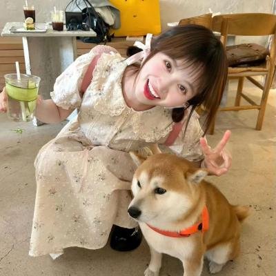 意乱情迷粤语